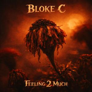 Feeling 2 Much