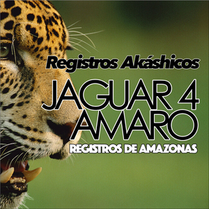Jaguar 4 Amaro Registros del Amazonas