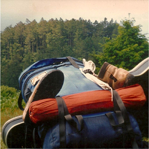 Windy Day At the Ocean