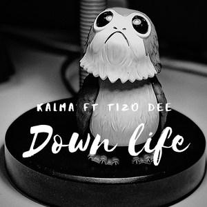 Down Life