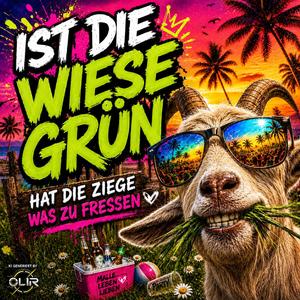 Ist die Wiese grün