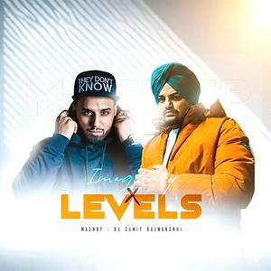 Level