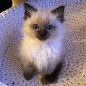 Like a Hurricane (slowed)