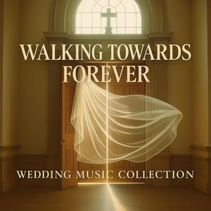 我缓缓走向未来|婚礼用曲|Wedding music collection
