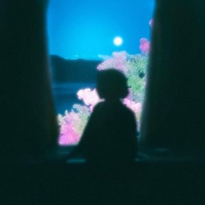 Assumptions (Instrumental)