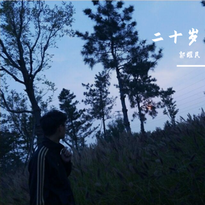 二十岁