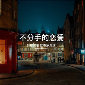 汪苏泷-不分手的恋爱（醉眼笑看世态多炎凉 remix）