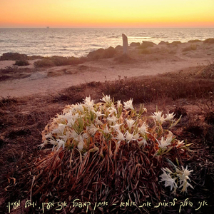 אני הולך לראות את אמא