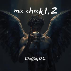 Mic Check 1 2
