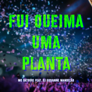 Fui Queima uma Planta