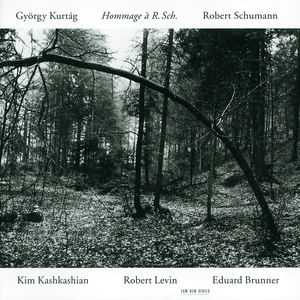 Fantasiestücke Op.73:1. Zart und mit Ausdruck