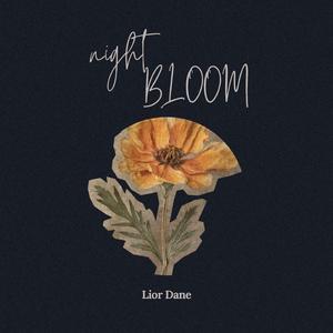 Night Bloom