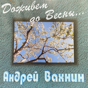 Зачем тебя я полюбил