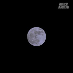 moonlight