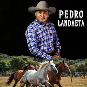 Preguntele al Cantinero