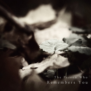 당신을 기억하는 이