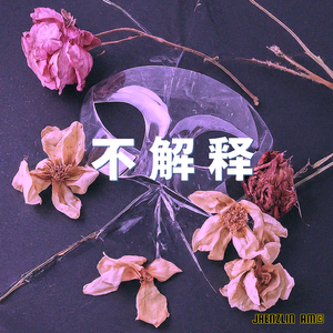 不解释