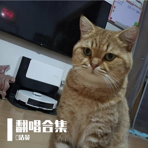 热铁皮屋顶的夏天