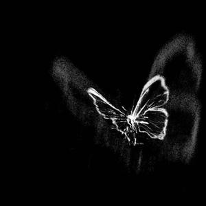 DAMMA (Orchestral Version)