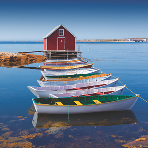 Grey Foggy Day (feat. John Prince)