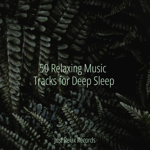 Melded Melodies Unfurl