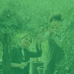 优美睡觉器乐