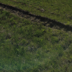 用三个字撒个谎