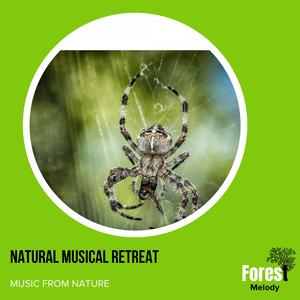 Calming Music of Water Trickling