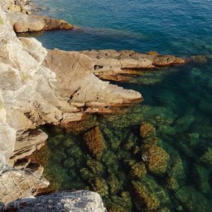 我曾以为有情可解世间一切遗憾