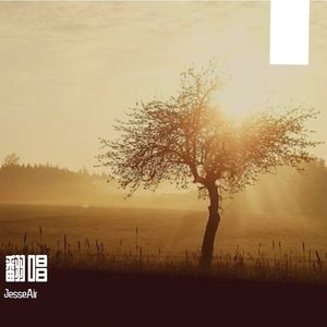 你等我（翻唱）