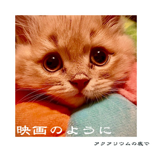 映画のように