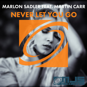 Never Let You Go (DJ Junior UK Remix Radio Edit (UK Garage))