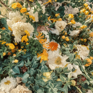 빗물에 비친 그리움