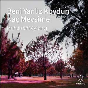 Beni Yanlız Koydun Kaç Mevsime