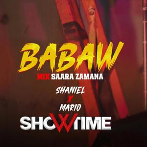 Babaw Mix Saara Zamana