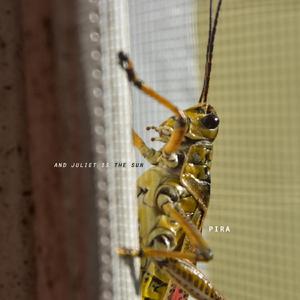 Lo Enorme de lo Masivo