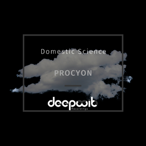 Procyon