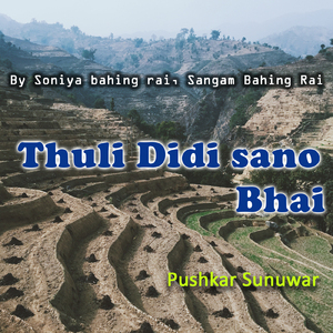 Thuli Didi Sano Bhai
