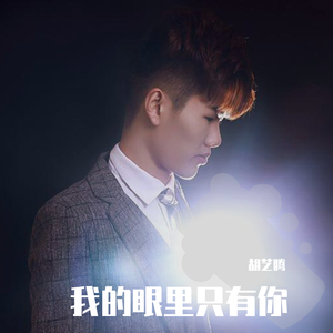 我的眼里只有你