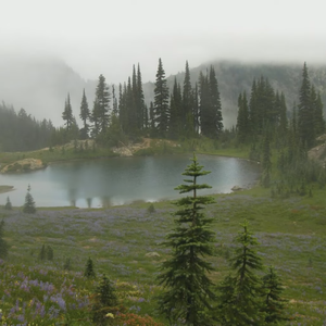 FREE"REALM"Bladee x ECCO2K Type Beat