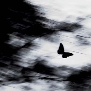 爱人的眼里有千万个春天