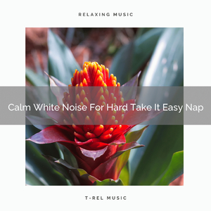 Calm Noise Of Colors For Special Relax Evenings