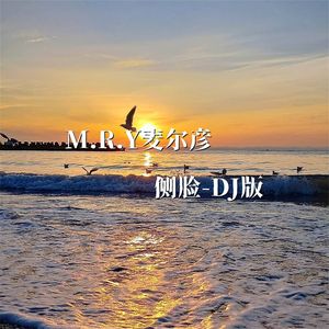 侧脸（高潮版）