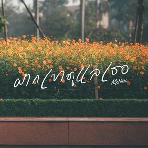 ฝากเขาดูแลเธอ