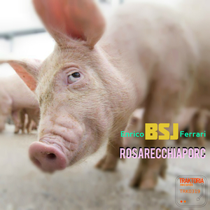 Rosarecchiaporc (Original Mix)