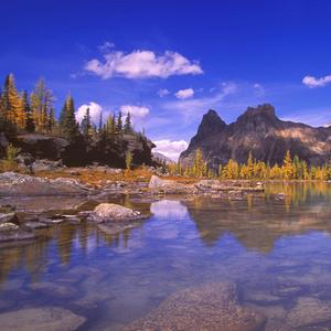 你的温柔让我流连忘返