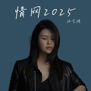 情网2025