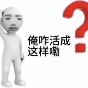 回望月光