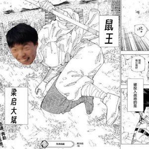 老鼠度此生