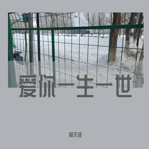 爱你一生一世